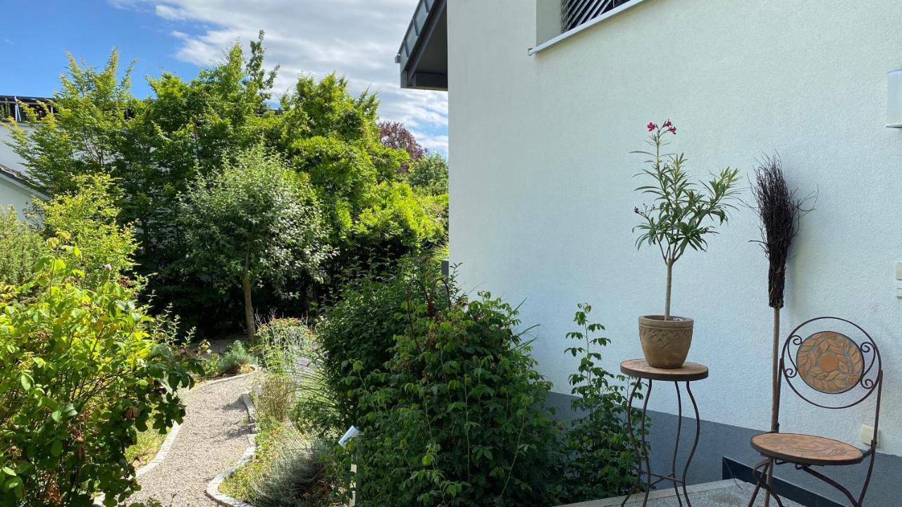 Black Forest Villa Lahr  Luaran gambar